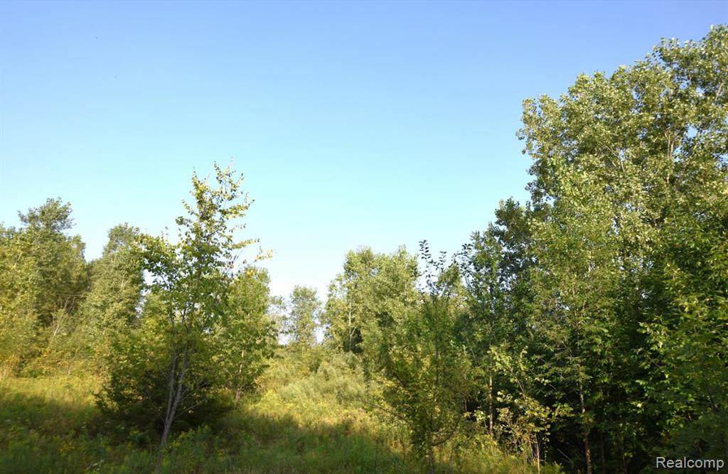 8504 DUFFIELD Road, Flushing, MI 48433 — Photo 2