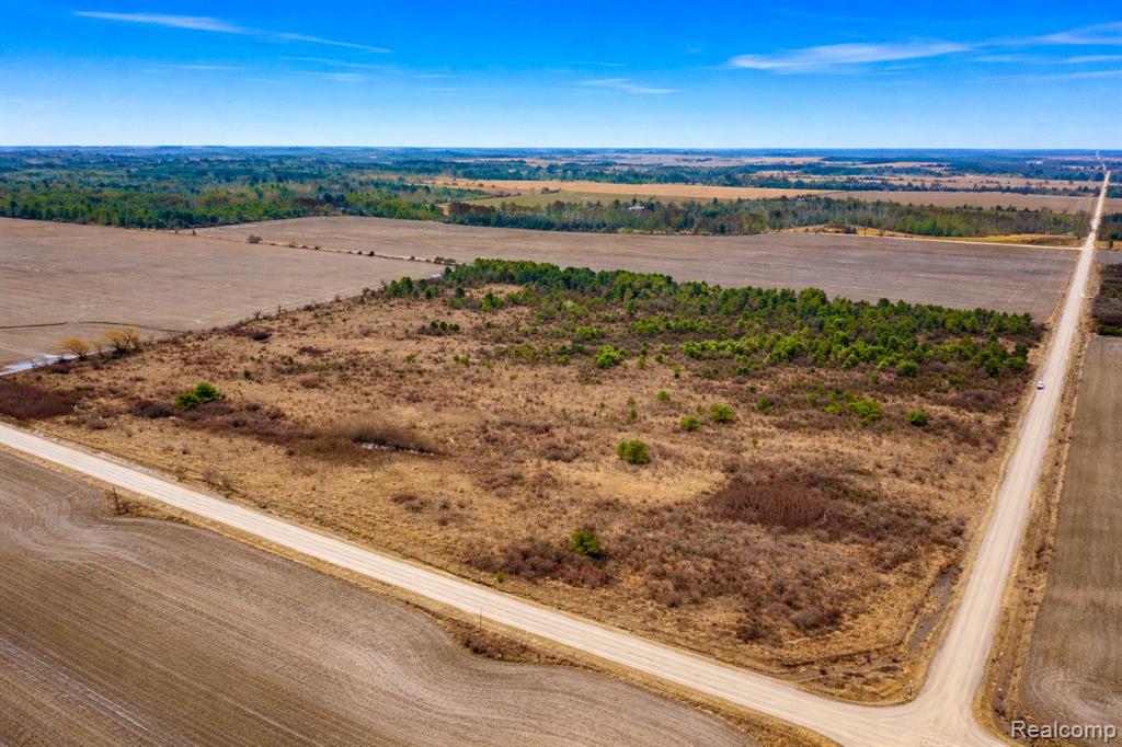 Vacant Land Custer Road, MI 48419 — Photo 5