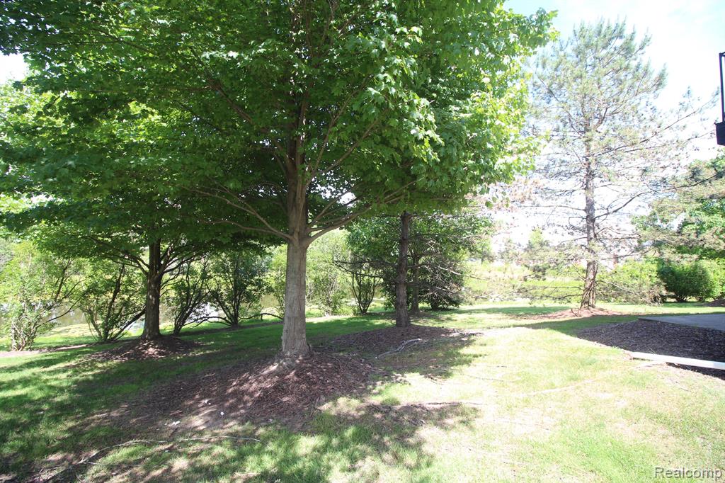 423 CHERRY ORCHARD Road, Canton, MI 48188 — Photo 4