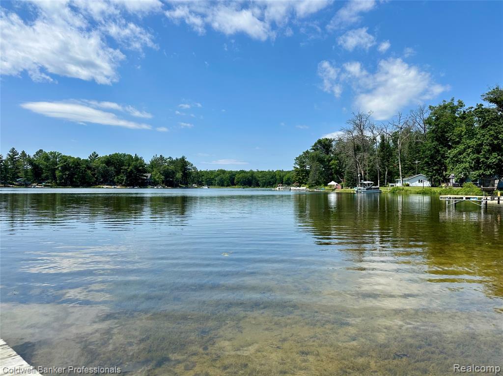 7351 Chain Lake Drive, South Branch, MI, 48761
