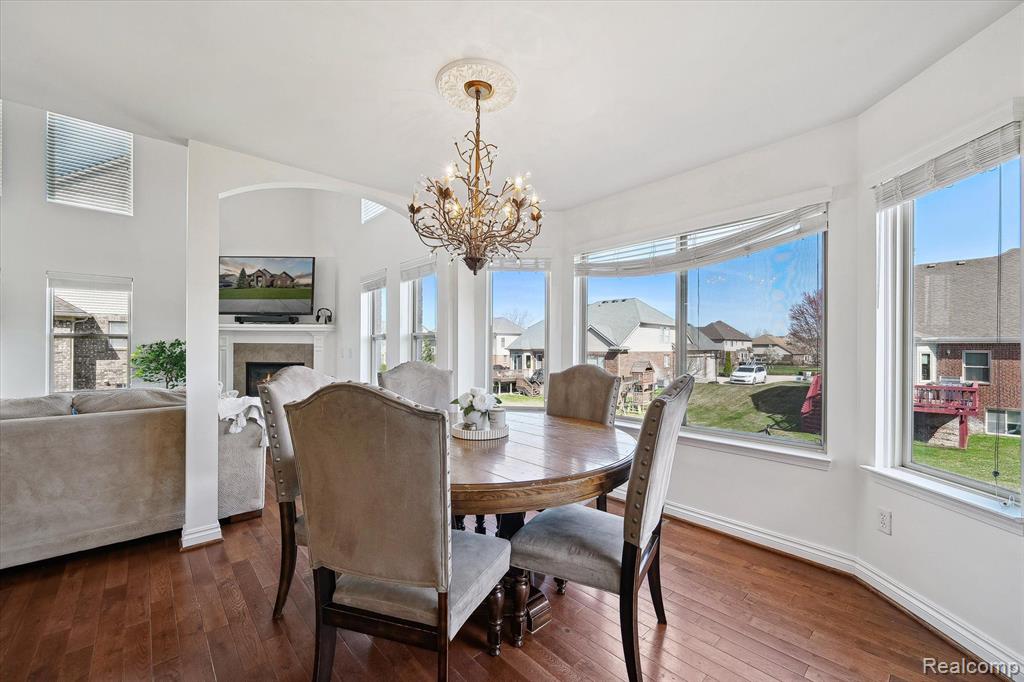 54210 BIRCHWOOD Drive, South Lyon, MI 48178 — Photo 12