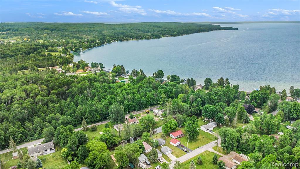 6954 LAKEVIEW Drive, Hubbard Lake, MI 49747 — Photo 28