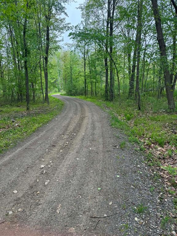 5994 N Lake Sanford Road, Sanford, MI 48657 — Photo 24