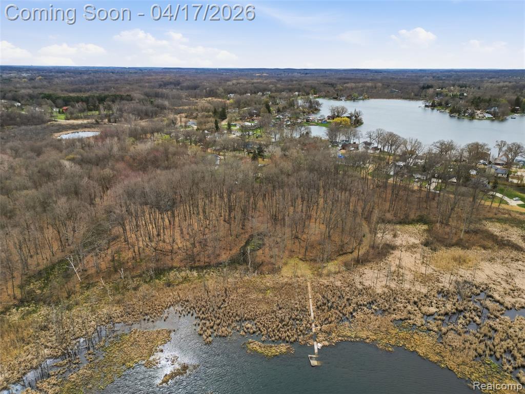 11430 Big Lake Road, Davisburg, MI 48350 — Photo 6