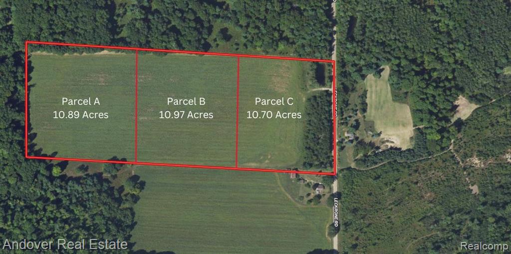 Leckrone Rd Parcel A, Brethren, MI 49619 — Photo 2