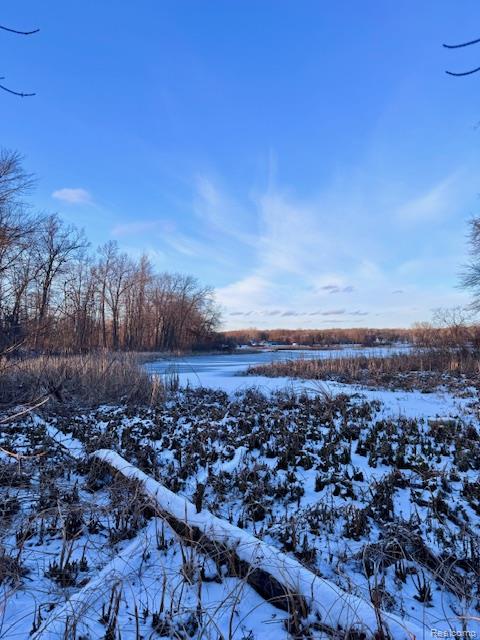 VL Lot D Trl Chevron, Highland, MI 48356 — Photo 5