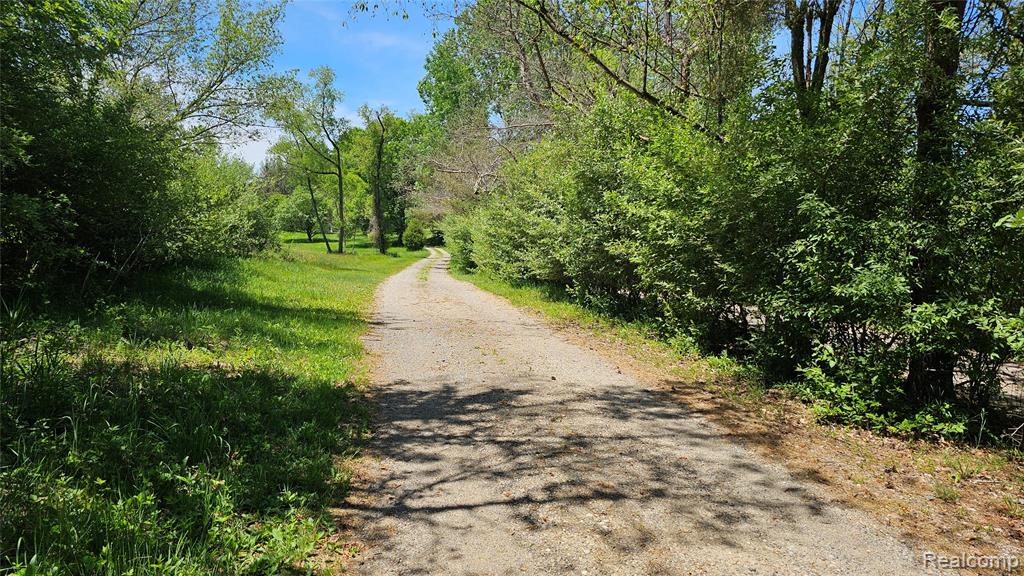 6790 Hinchey Road, Pinckney, MI 48169 — Photo 2