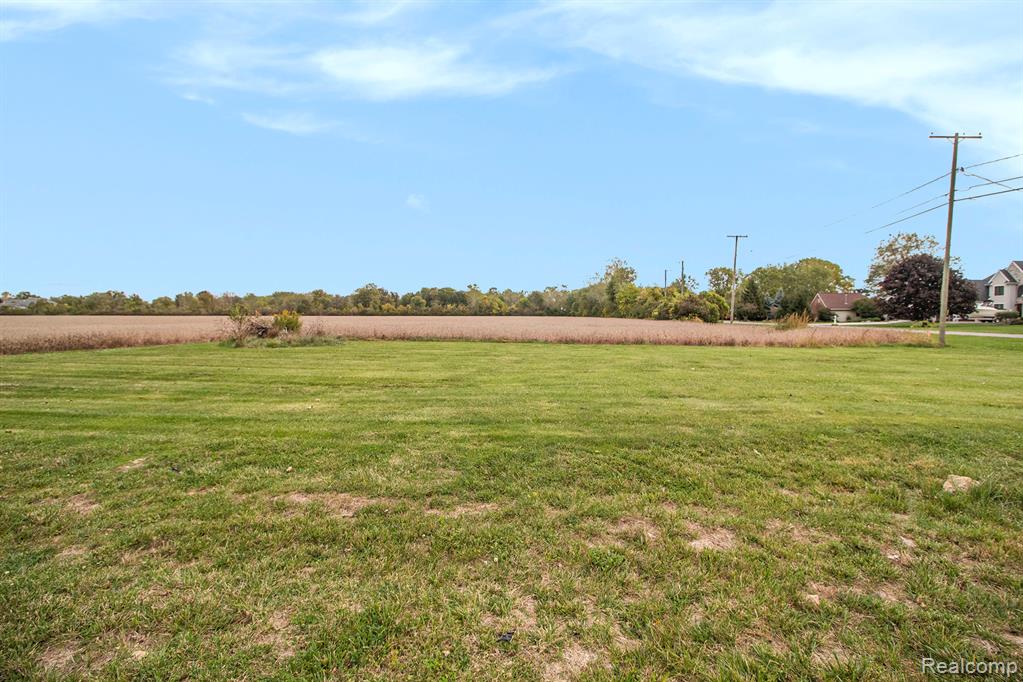 4511 Burke Road, Frenchtown, MI 48166 — Photo 6