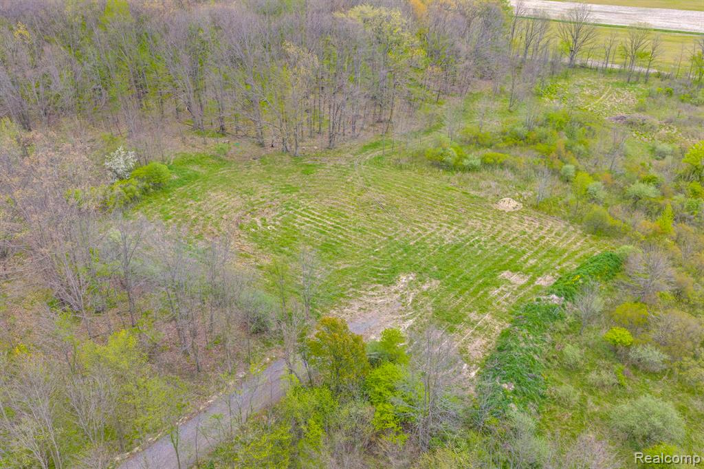 0 Martin Road, Avoca, MI 48014 — Photo 6