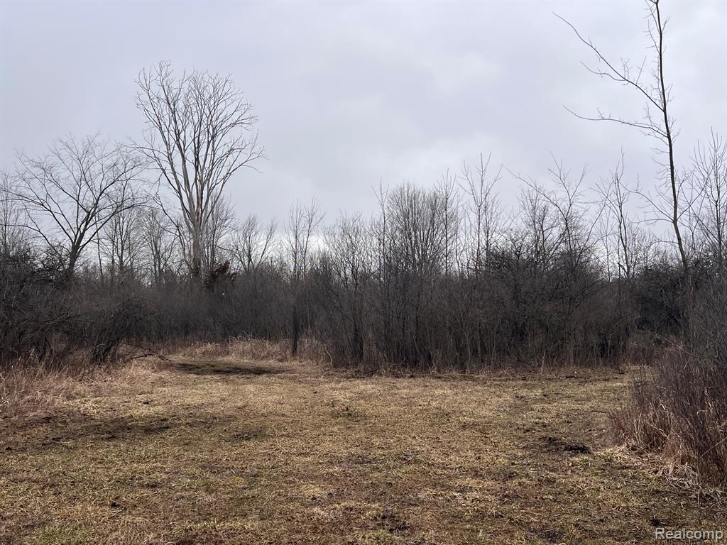 VL Washington Street, Perry, MI 48872 — Photo 14
