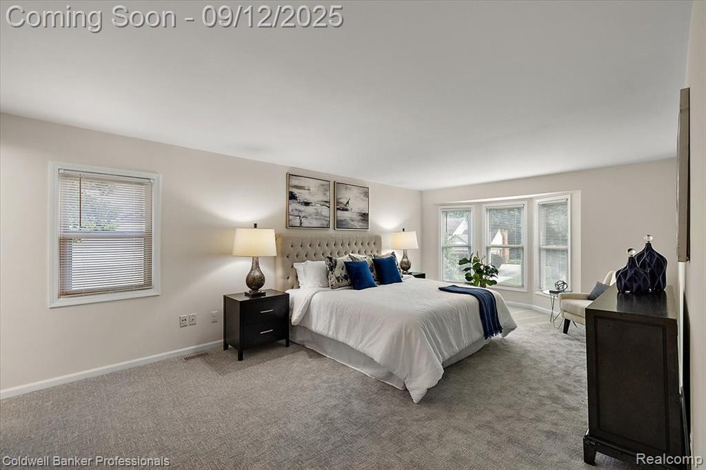 49238 Plum Tree Drive, Plymouth, MI 48170 — Photo 49