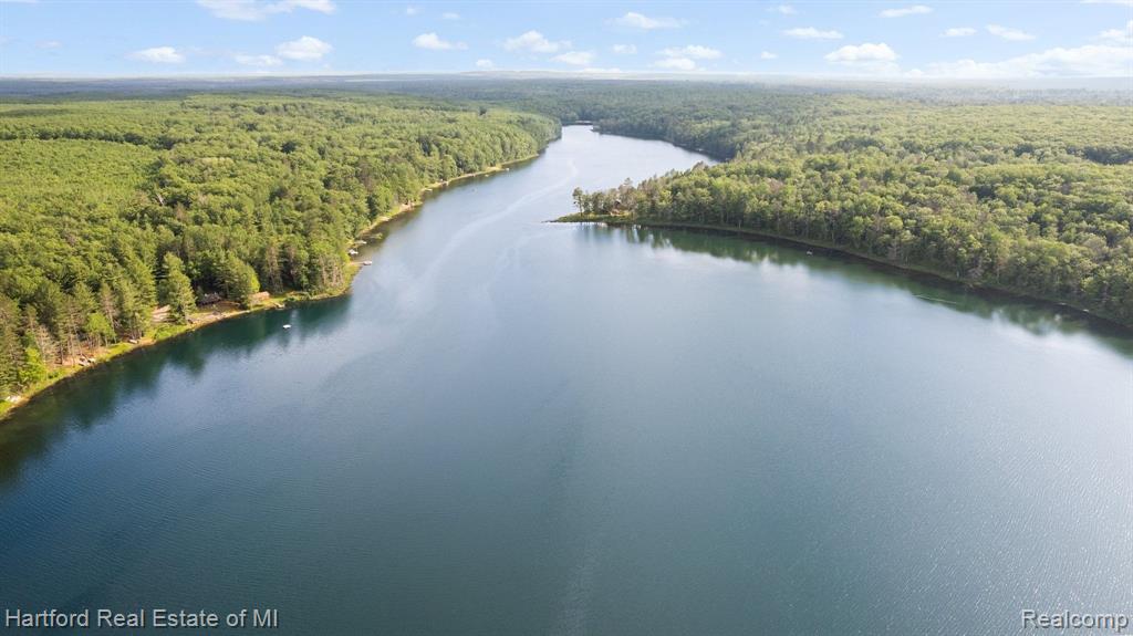 7643 K P LAKE ROAD, Grayling, MI 49738 — Photo 53