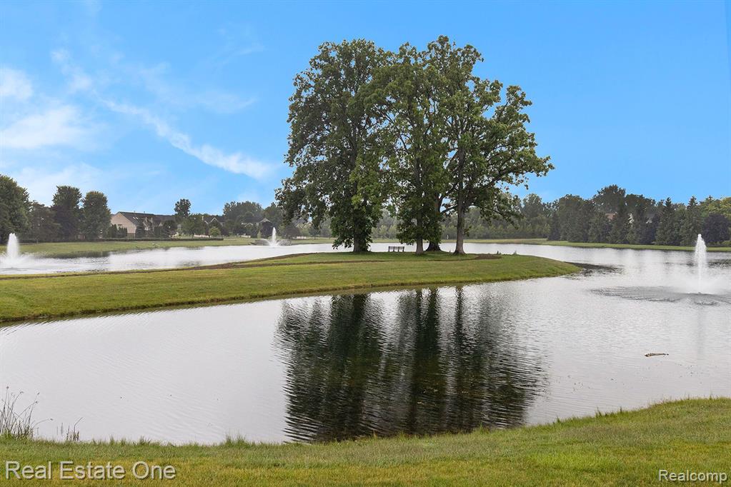 28406 OAKMONTE Circle E, New Hudson, MI 48165 — Photo 29