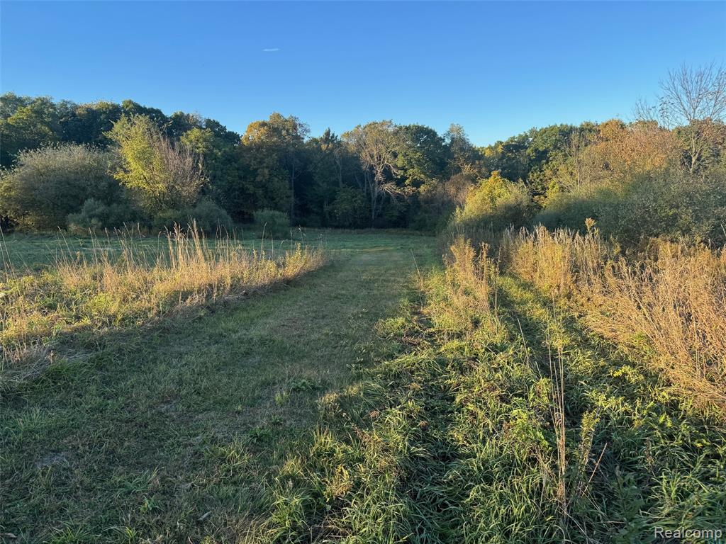 VL Rock Valley Road, Metamora, MI 48455 — Photo 11