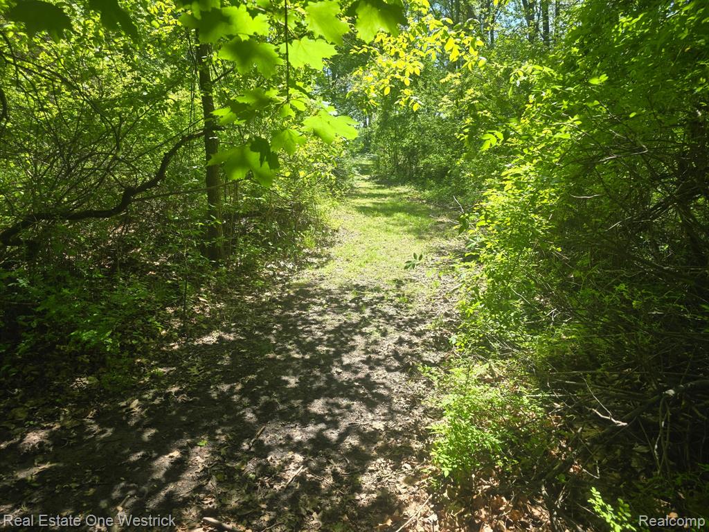 9236 River Road, Algonac, MI 48001 — Photo 28