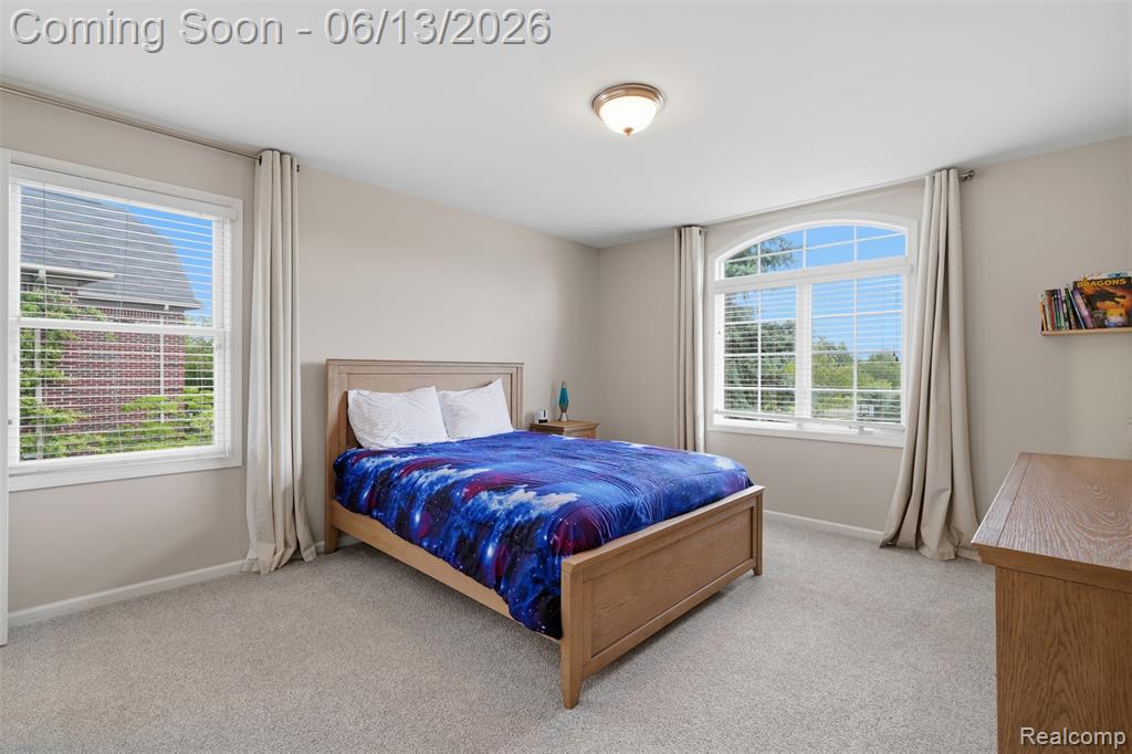 41920 Wolfe Pass, Novi, MI 48377 — Photo 54