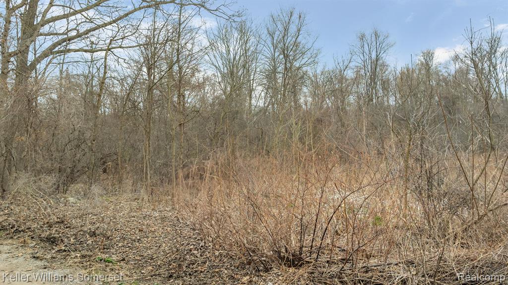 000 Lakeview Drive, White Lake, MI, 00000