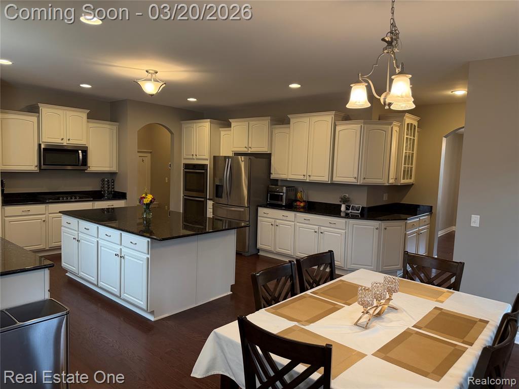 58206 Sunflower Circle N, New Hudson, MI 48165 — Photo 15