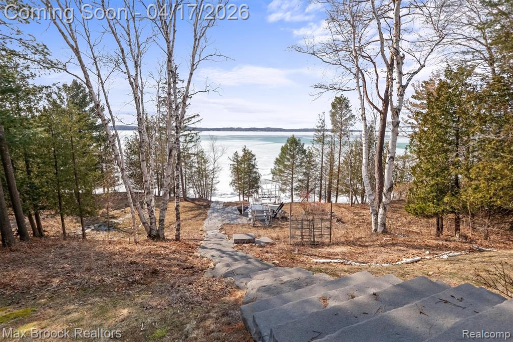 1432 S East Torch Lake Drive, Bellaire, MI 49615 — Photo 79