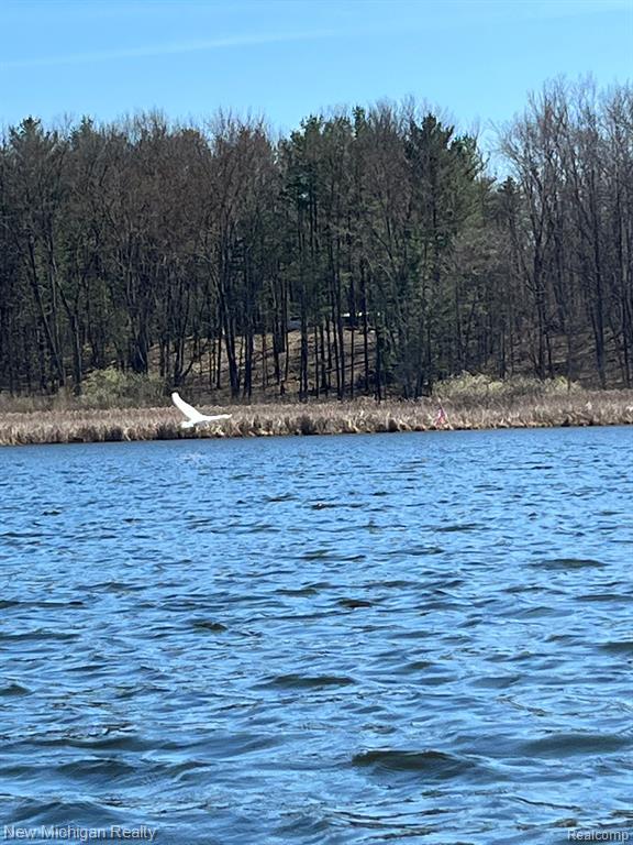 11461 WHITE LAKE Road, Fenton, MI, 48430