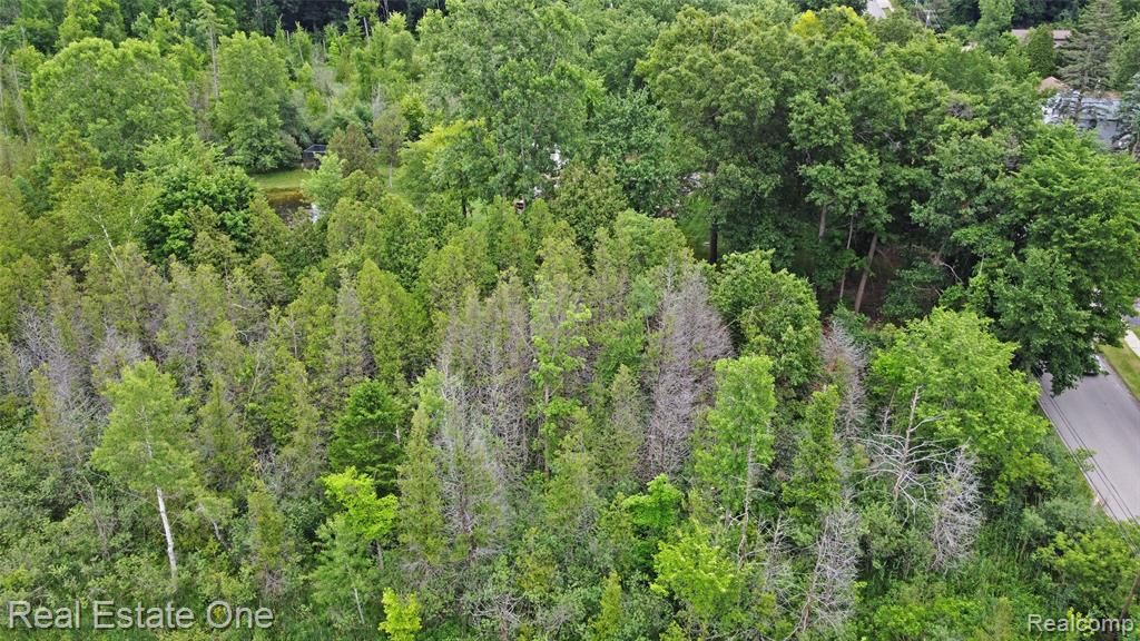 4 N Church Street, Ortonville, MI 48462 — Photo 68