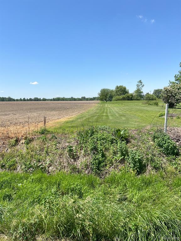 12075 PEET Road, Chesaning, MI 48616 — Photo 16