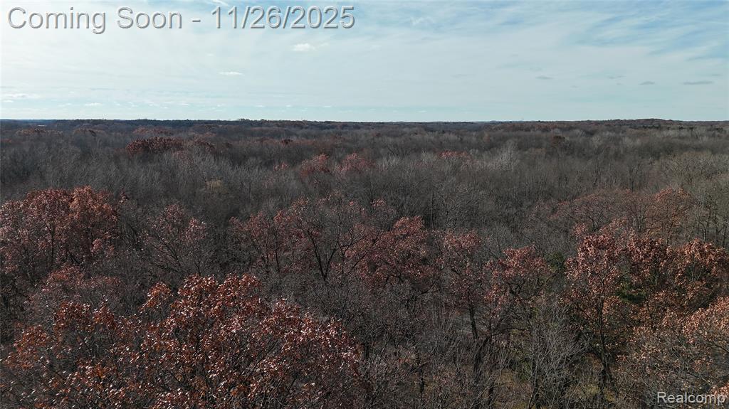 9300 Bath Road, Laingsburg, MI 48848 — Photo 20