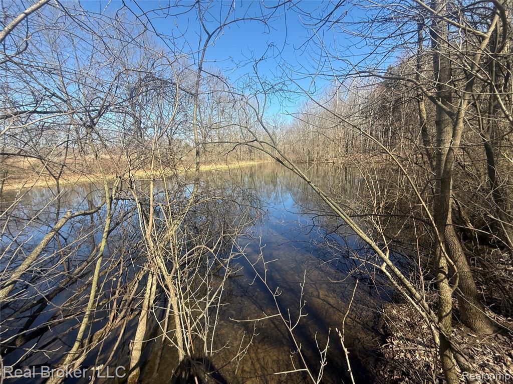 1802 N Elba Road, Lapeer, MI 48446 — Photo 48