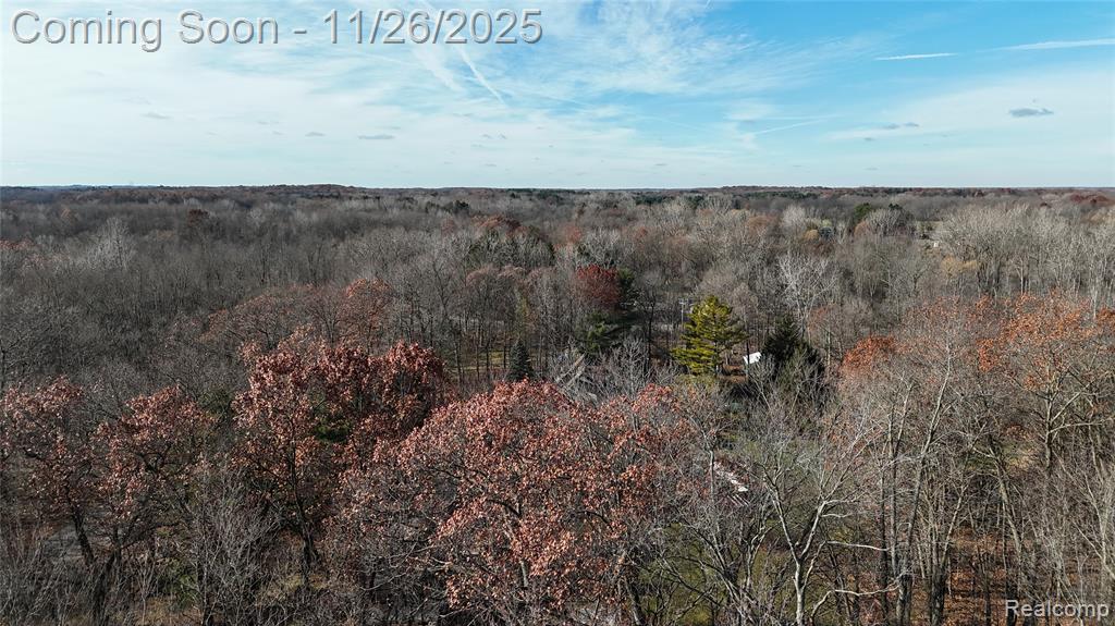 9300 Bath Road, Laingsburg, MI 48848 — Photo 21