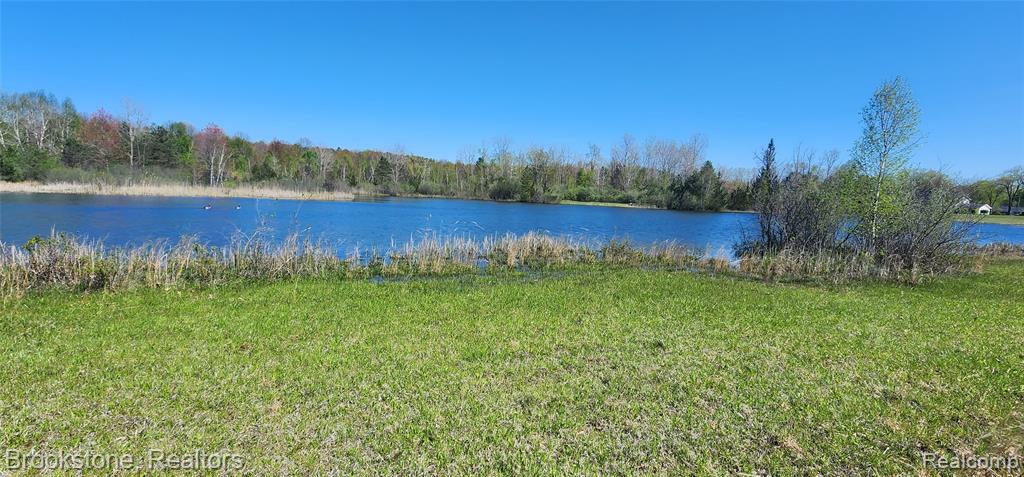 3338 FIELD Road, Clio, MI 48420 — Photo 10