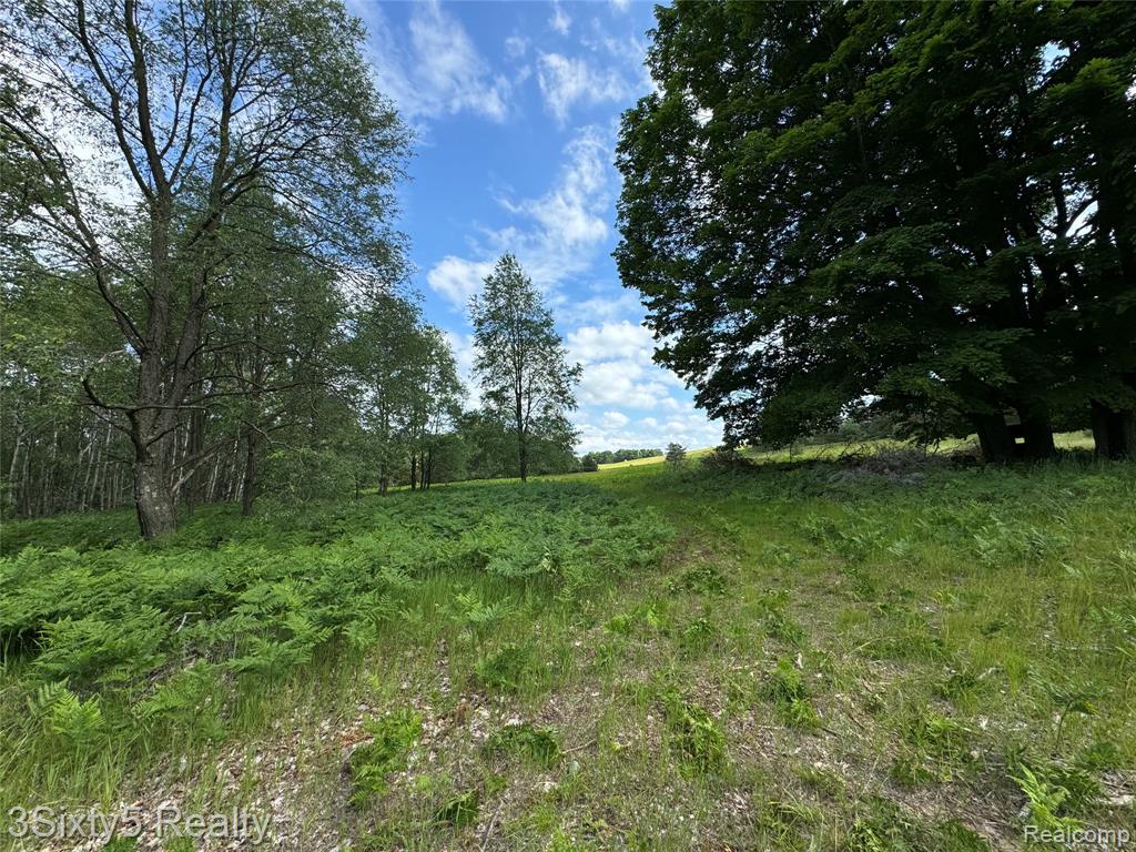 7710 10 Mile Road, Bitely, MI 49309 — Photo 10