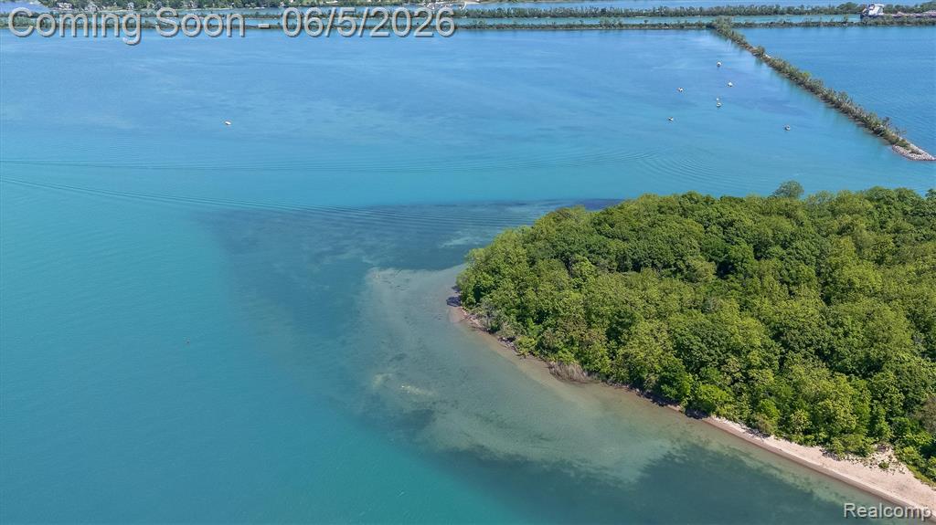 28195 Elba Drive, Grosse Ile, MI 48138 — Photo 61