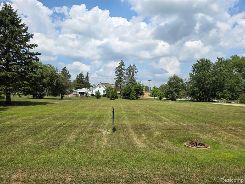V/L W Liberty Street, Chesaning, MI 48616 — Photo 2