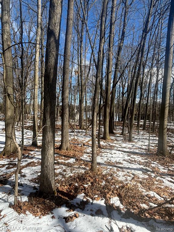 V/L TIPSICO LAKE ROAD, Holly, MI 48442 — Photo 18