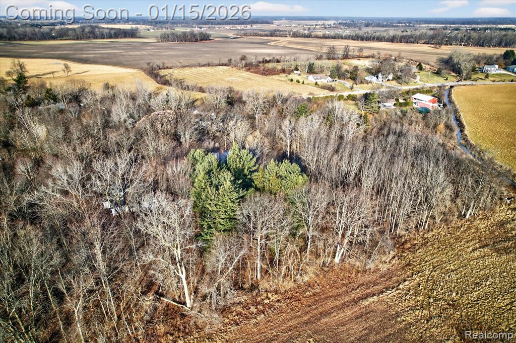 3290 Gruber Road, Monroe, MI 48162 — Photo 85