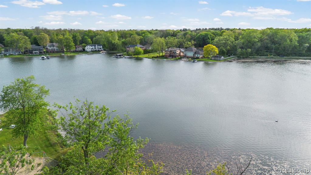 3160 Mandrake Street, Commerce Twp, MI 48382 — Photo 20