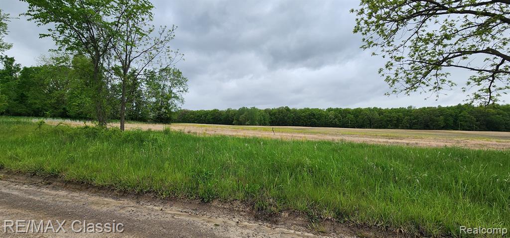 8520 ARKONA Road, Clinton, MI, 49236