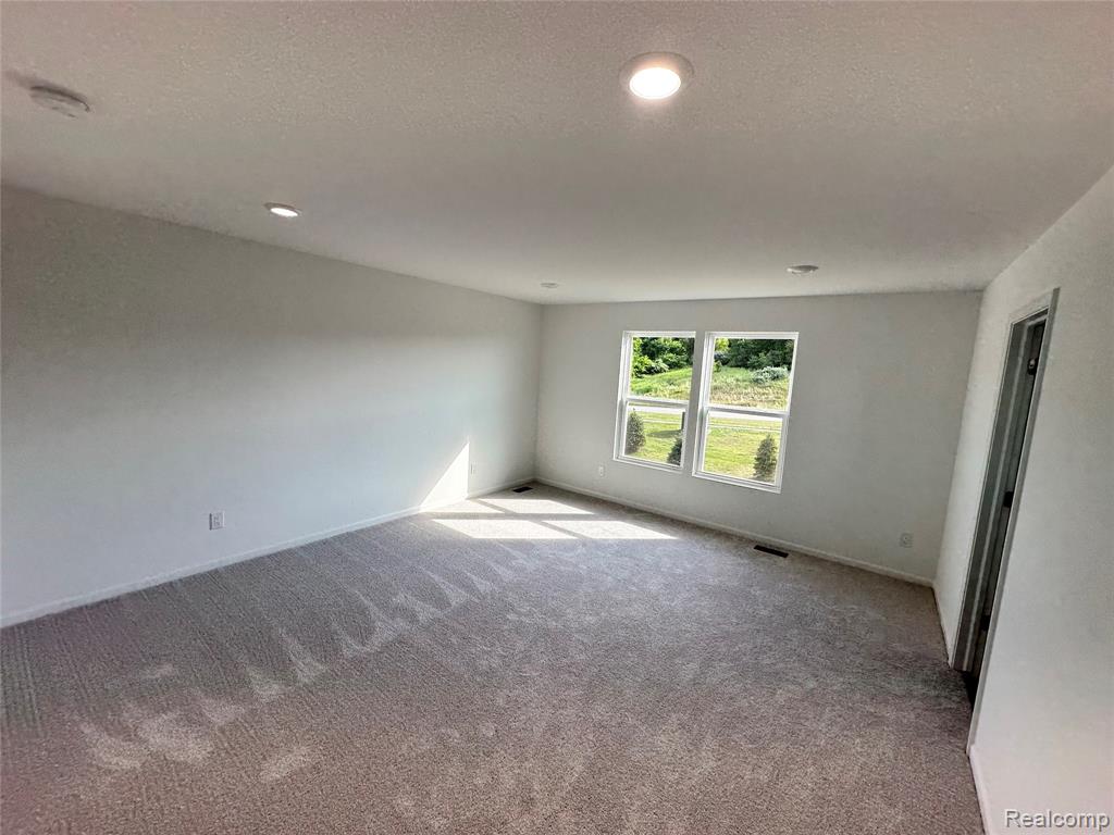 59579 Schuss Gully Drive, New Hudson, MI 48165 — Photo 23