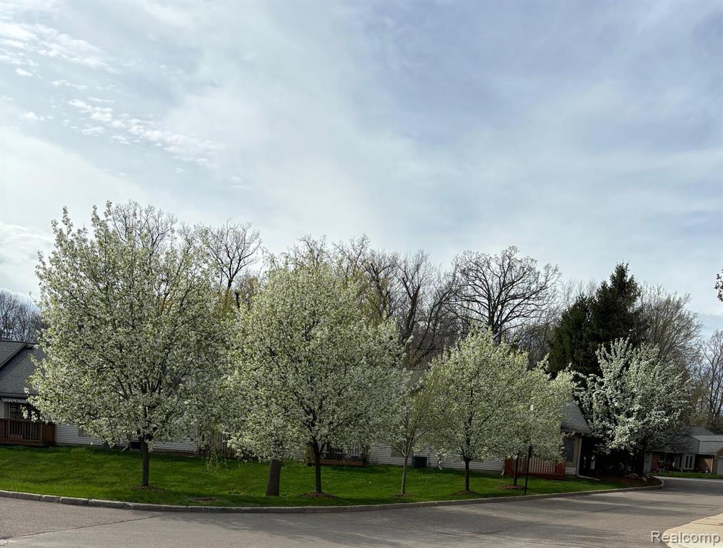 21334 MULBERRY Court, 50, Farmington Hills, MI 48336 — Photo 41
