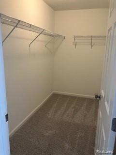 16245 Rogan Drive, Linden, MI 48451 — Photo 18