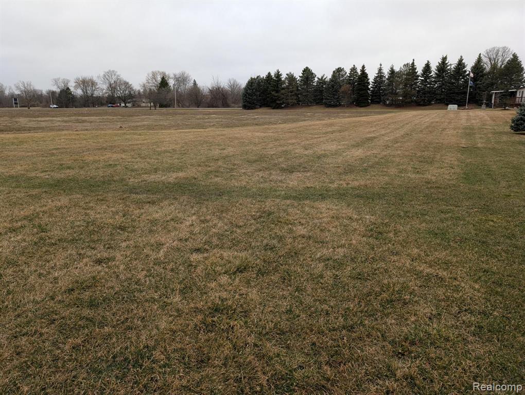 50 Somerset Street, Swartz Creek, MI 48473 — Photo 21