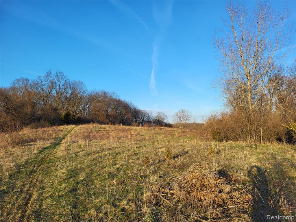 TBD Parcel C Olivia Drive, Milford, MI 48380 — Photo 2