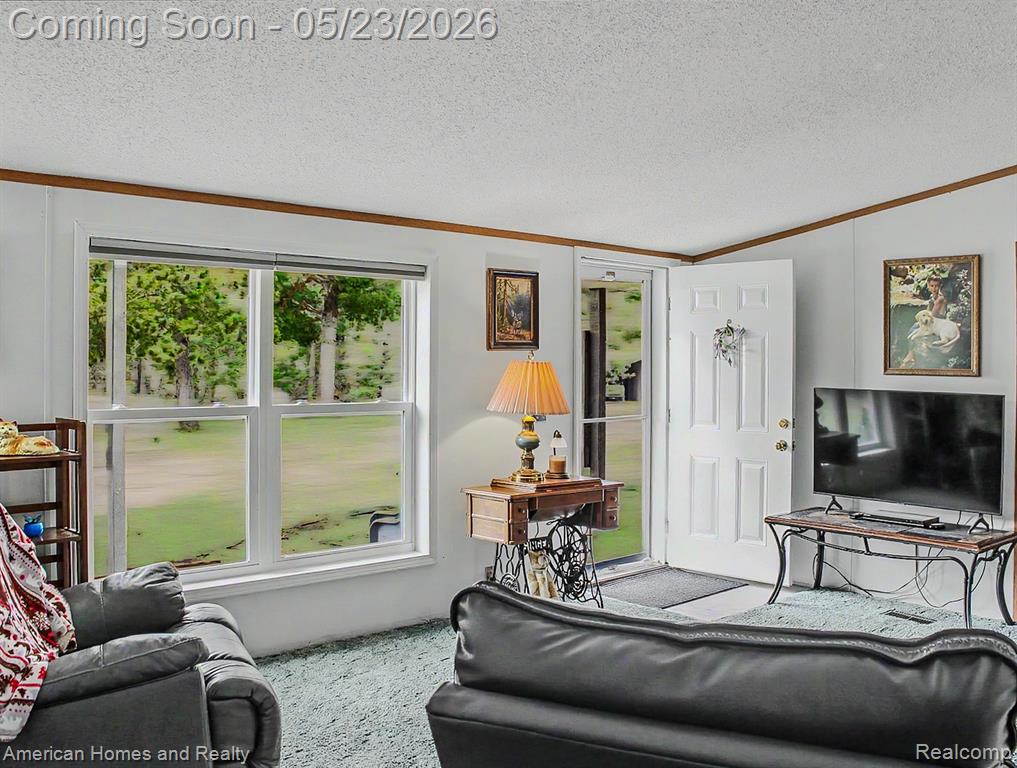 6691 Boone Lane, Vanderbilt, MI 49795 — Photo 7