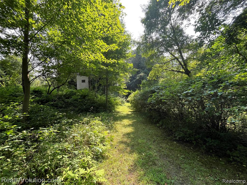 5885 Skyview Drive, Imlay City, MI 48444 — Photo 33