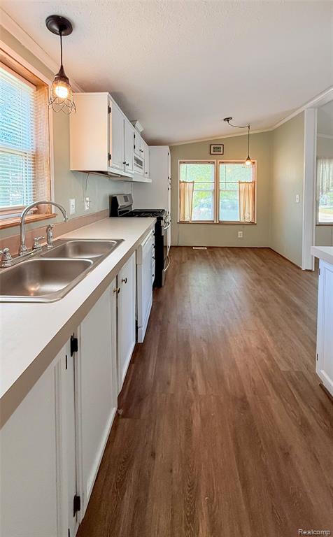 416 Raisin River Drive, Adrian, MI 49221 — Photo 8