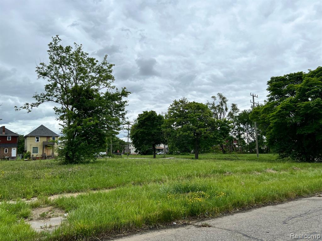 6502 HARTFORD Street, Detroit, MI 48210 — Photo 2