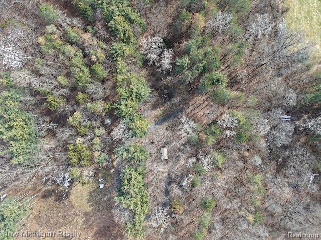 11461 WHITE LAKE Road, Fenton, MI, 48430