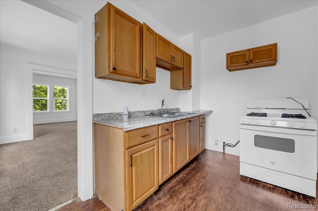 7263 Senator Street, Detroit, MI 48209 — Photo 36