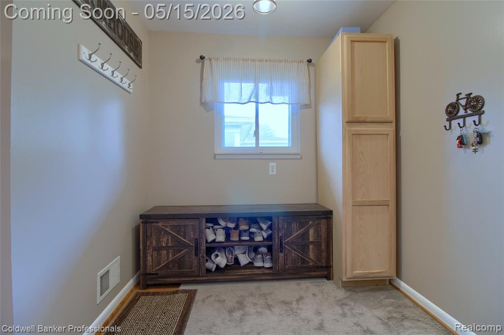 5866 Willow Creek Drive, Canton, MI 48187 — Photo 18