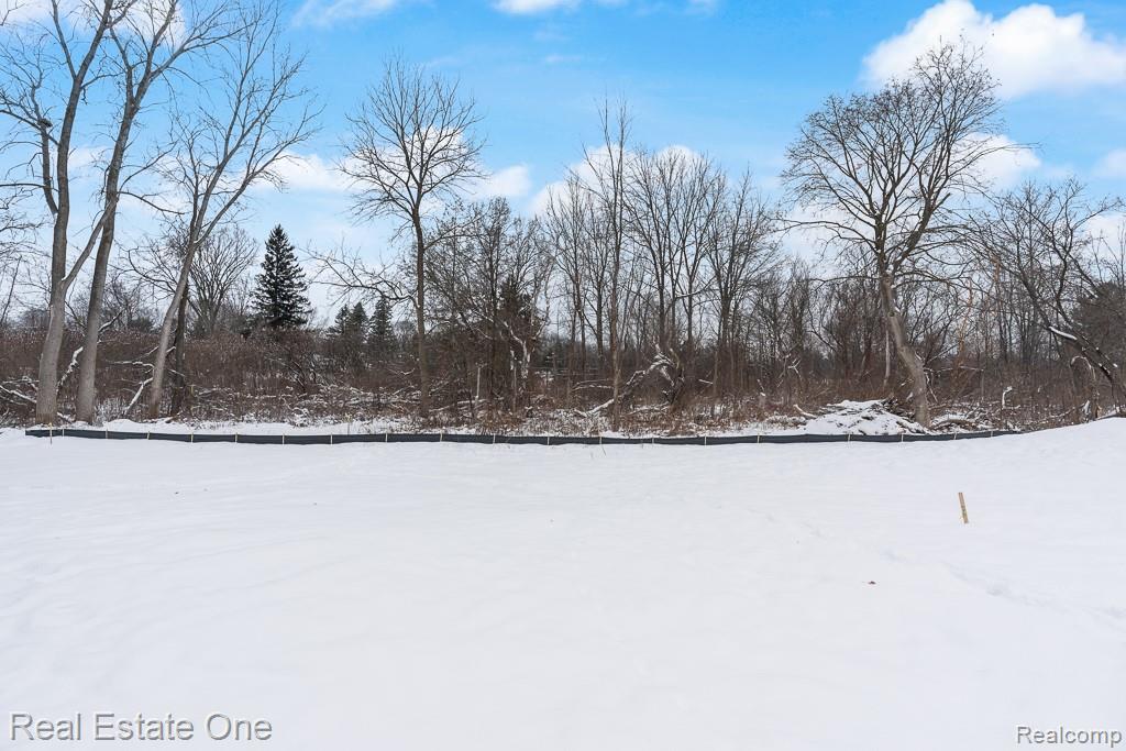 225 E Predmore Road, Oakland, MI — Photo 64